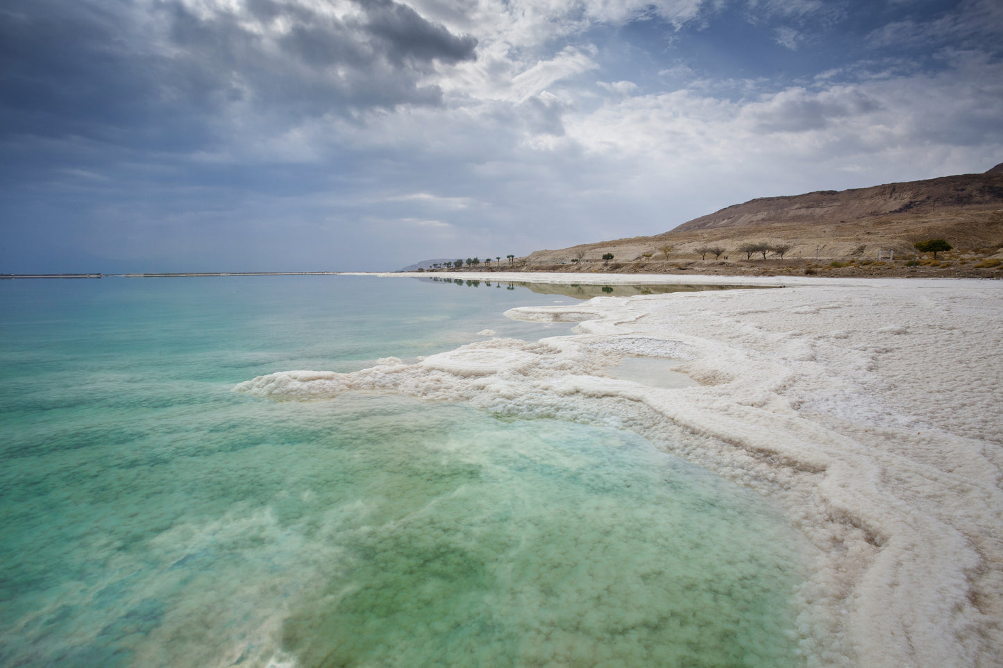 Levantine Citrus Dead Sea Salt Scrub
